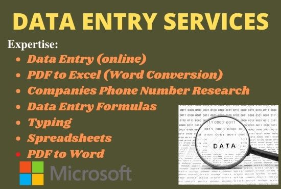 do data entry, web research, and copy paste in 24 hours