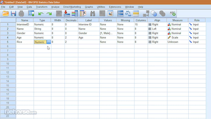 assist you in data entry and analysis on spss