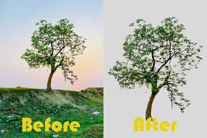 transform your photo into a watercolor illustration