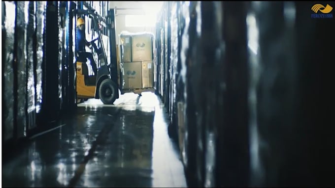 pro supply chain services for freight logistics, import and export documentation