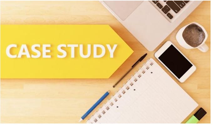 do case studies, business plan and summary writing for you