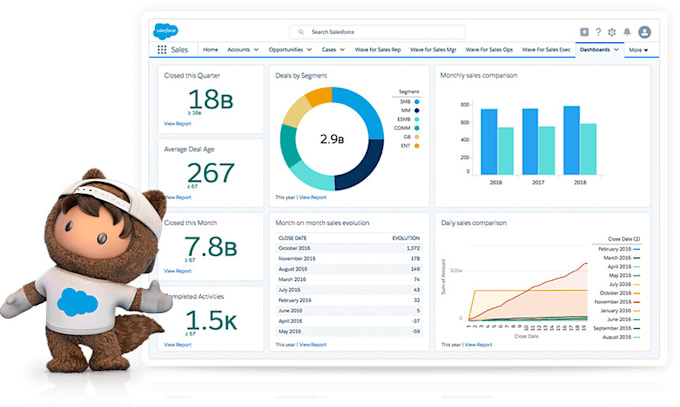 help you with salesforce development and support