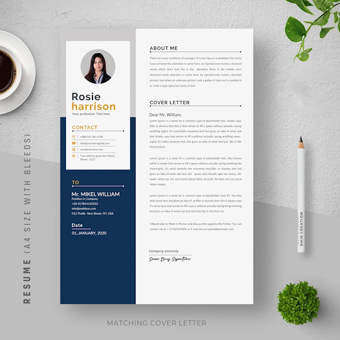 design professional resume CV writing and editing