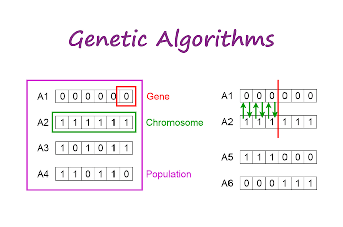 do any genetic algorithm and evolutionary computing task