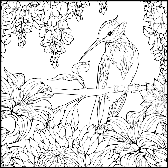 send you 50 pages coloring beautiful birds