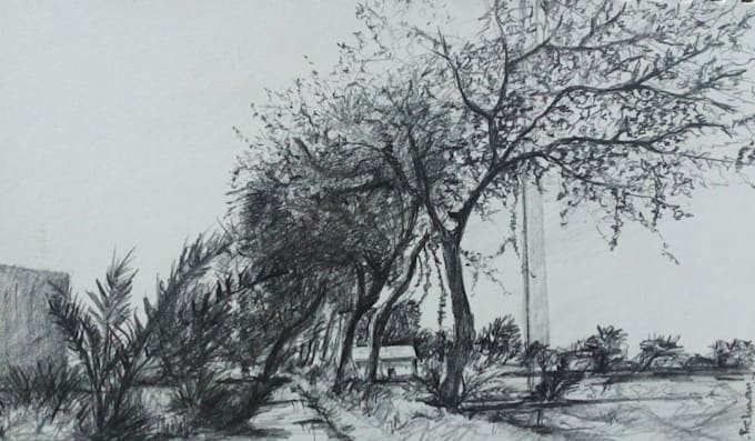 draw pencil sketches drawings and anything you want