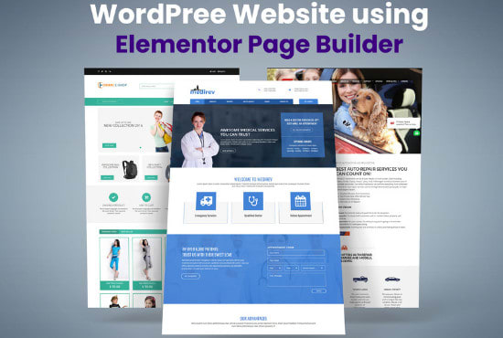 design, redesign, clone, revamp or customize the wordpres website with elementor