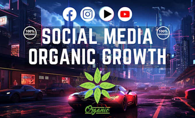 run and manage facebook, instagram, tiktok ads with ROI focused strategy