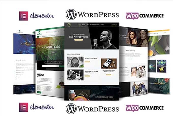 build modern and responsive wordpress website design