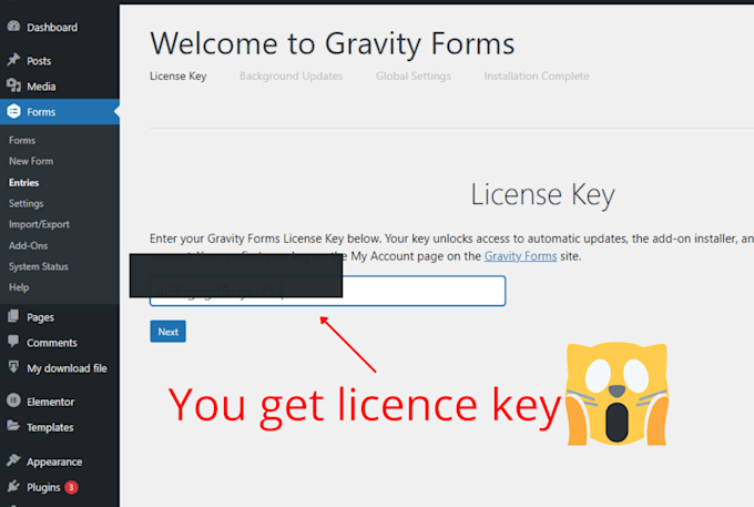 build fix any gravity forms and contact form 7 on wordpress
