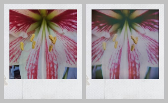 turn your normal photos into polaroids