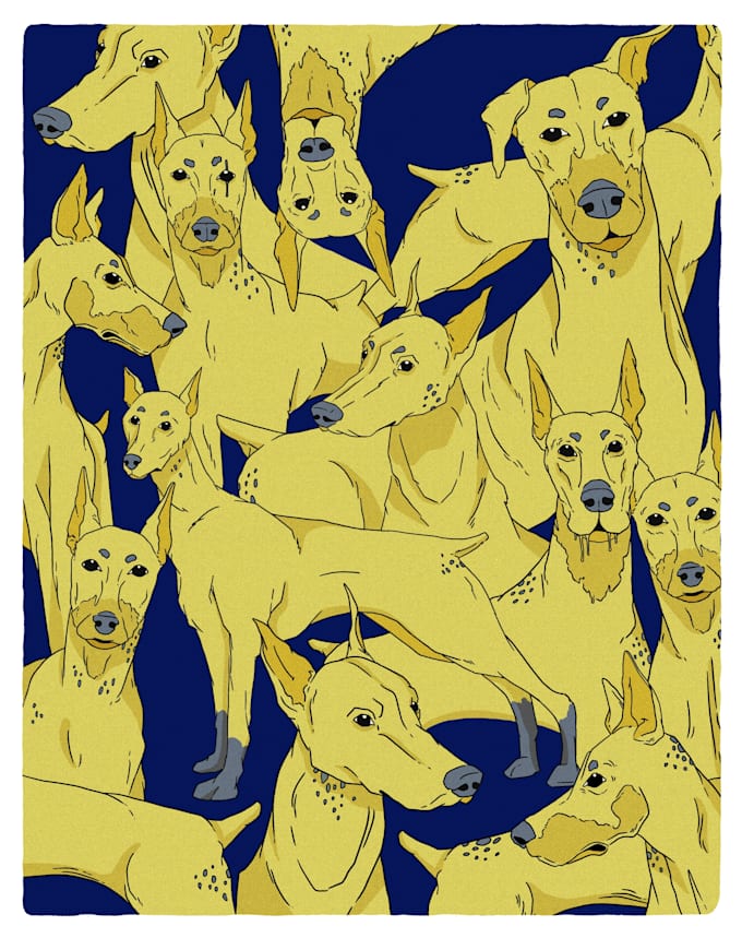 draw adorable pet portraits