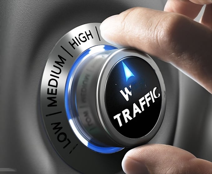 make half a million USA website traffic from google