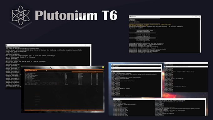 Setup your plutonium black ops 2 server by Sorexproject | Fiverr