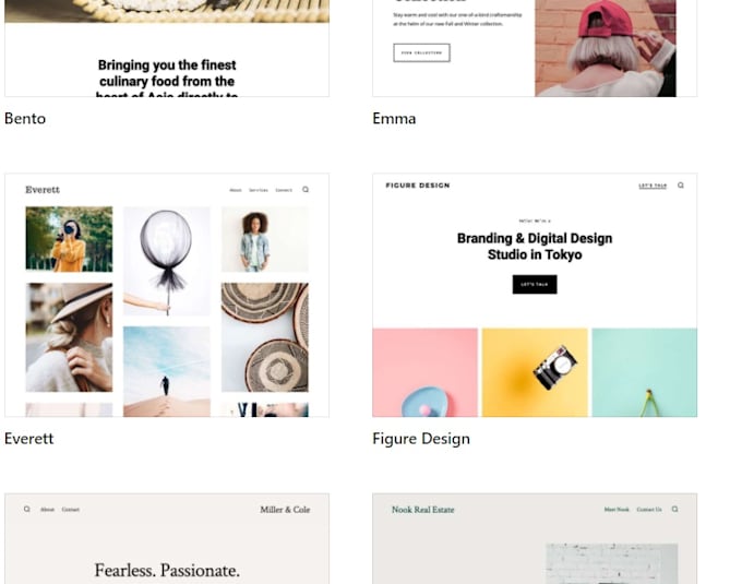develop wordpress website suitable for your business
