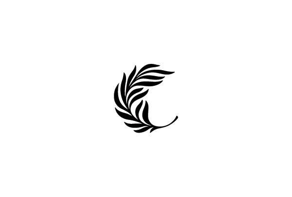 create a minimalistic logo from scratch