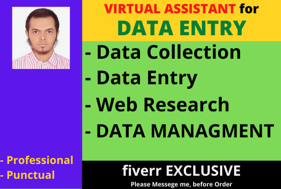 data entry data collection and web research