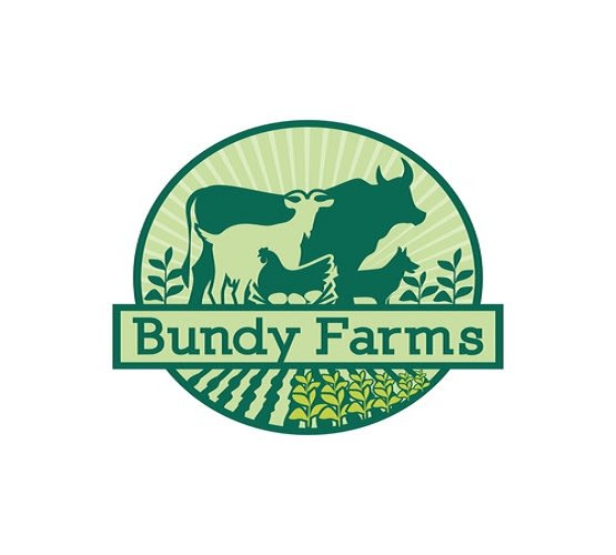 design a vintage logo in 1 day