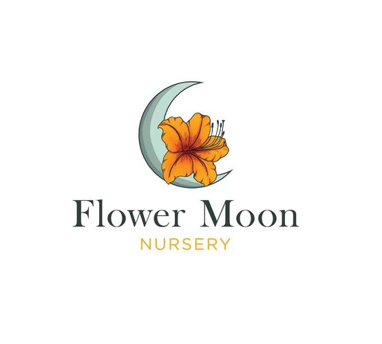 create beautiful and best plant nursery logo