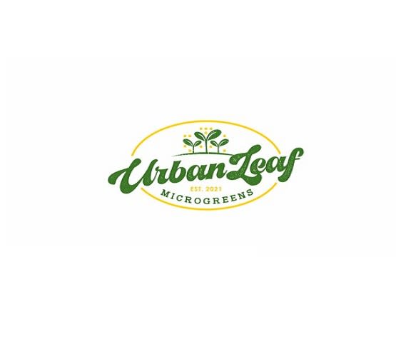 design simple old school logo