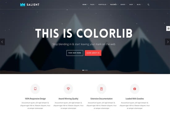create a responsive wordpress website design or blog