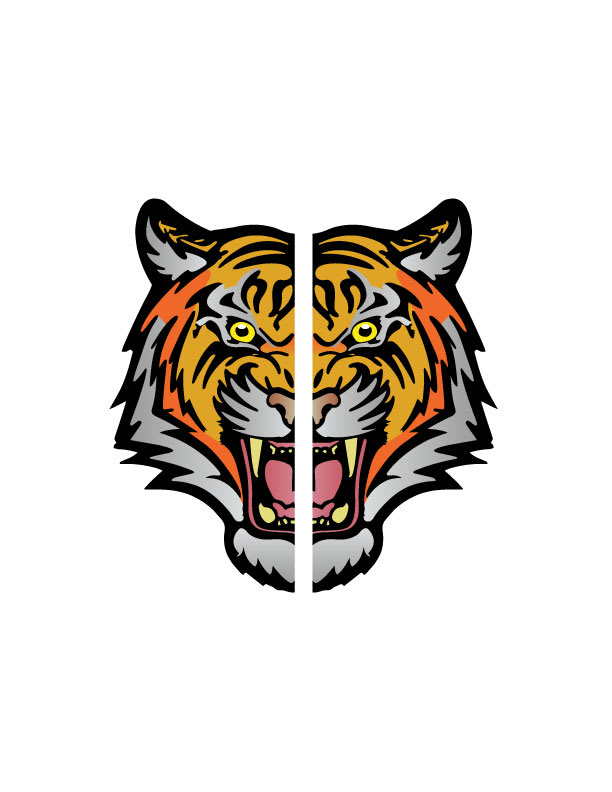 convert any image to vector