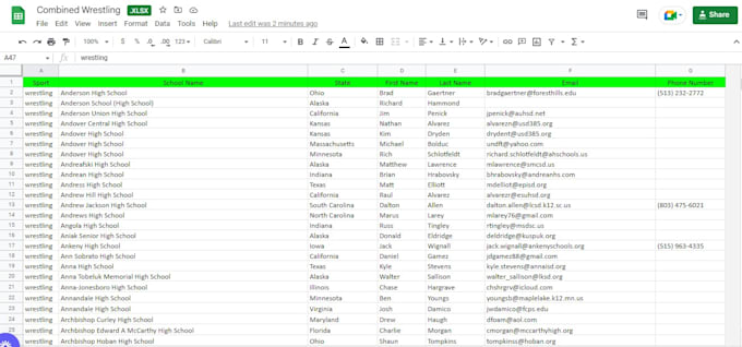 create, clean, and automate excel or google sheets for your business