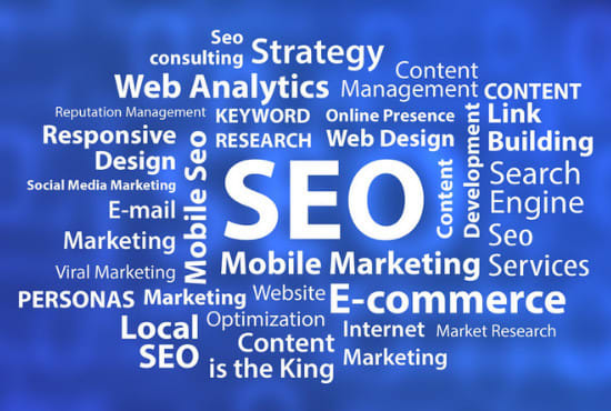 provide usability testing, web report ,SEO audit report with action plans