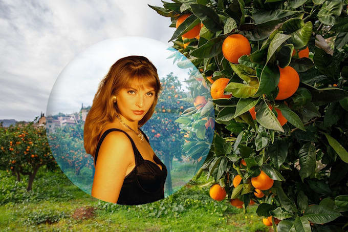 gracefully insert the photo into a wonderful crystal ball