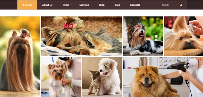 create, redesign pets accessories store in wordpress