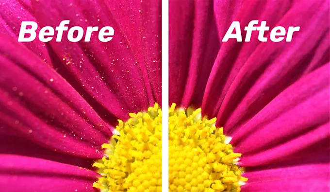 remove text, dust, scratches of your images with ai