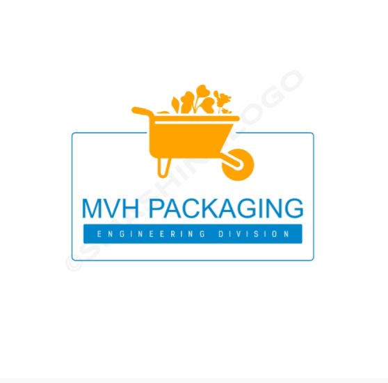 design custom professional logo