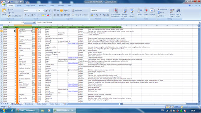 Entry your data with ms excel by Riskidwi0911 | Fiverr