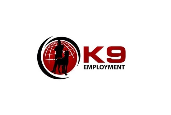 create modern cyber security, tech and technology logo with express delivery