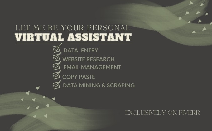 be your personal administrative virtual assistant for data entry, web research