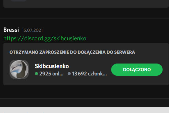 create professional discord server for you