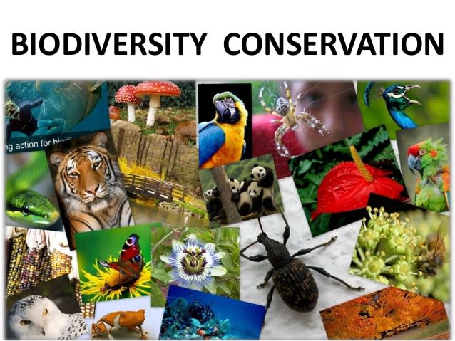 work on evolution and biodiversity