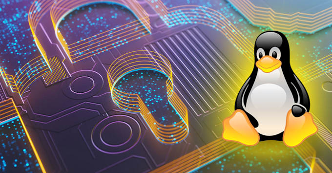do server maintenance and server protection