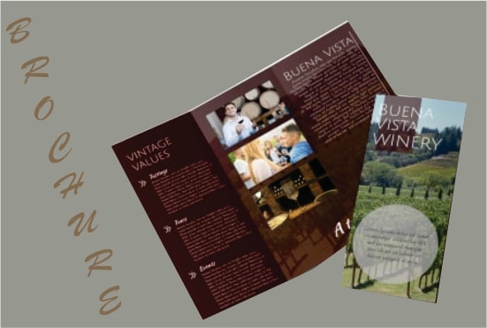 design company, bifold, trifold and flyer brochure
