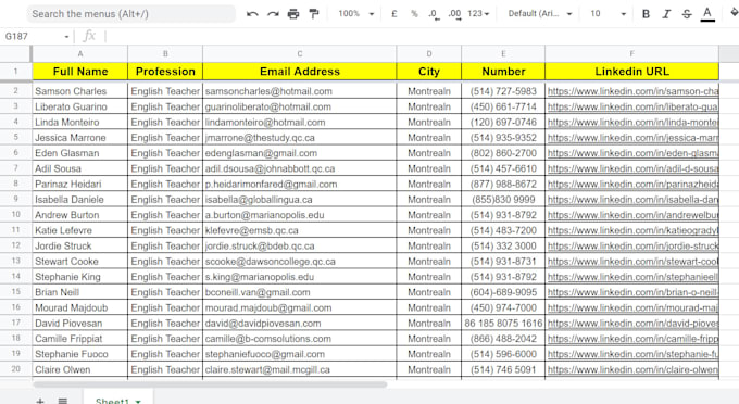 be your virtual assistant for excel data entry, web research and data collection