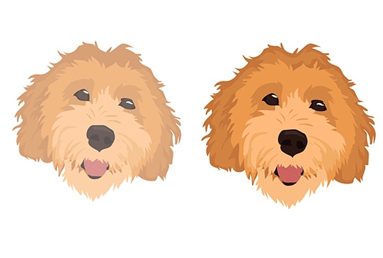 draw illustration in vector within 24 hours