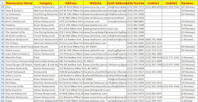 do data scraping from google map, business directory, and email collection