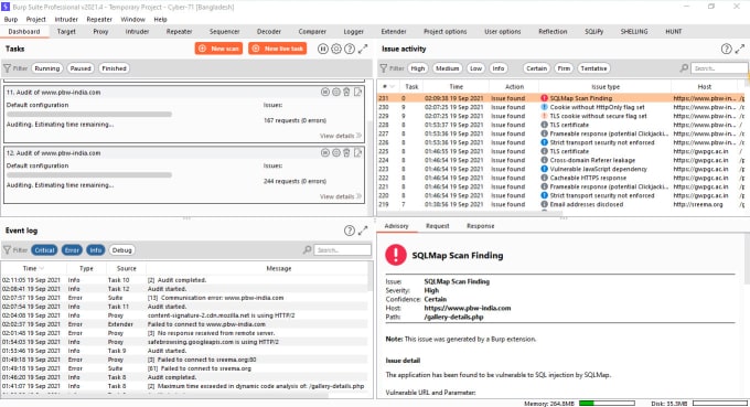 do monthly website penetration and vulnerability test