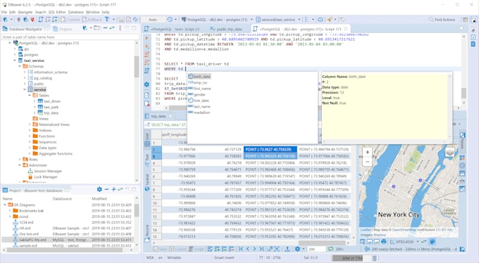 design and develop database management system and web application