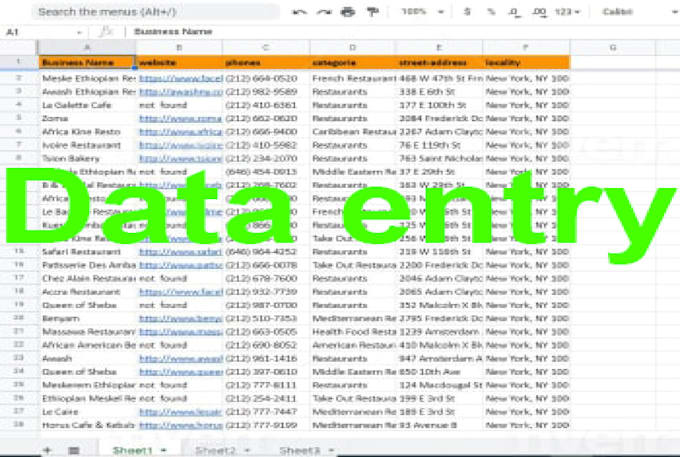 be your  smart virtual assistant for any type of data entry