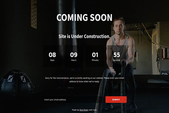 design responsive wordpress landing page, squeeze page or sales page