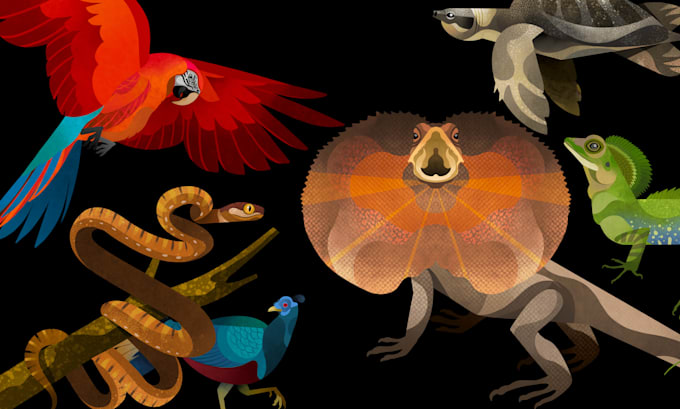 create an exotic animal or pet illustration for you