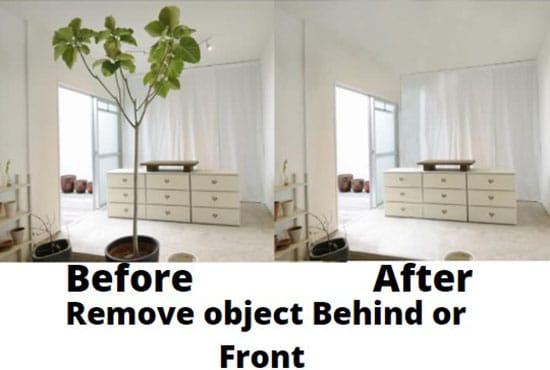 remove person or unwanted objects from picture