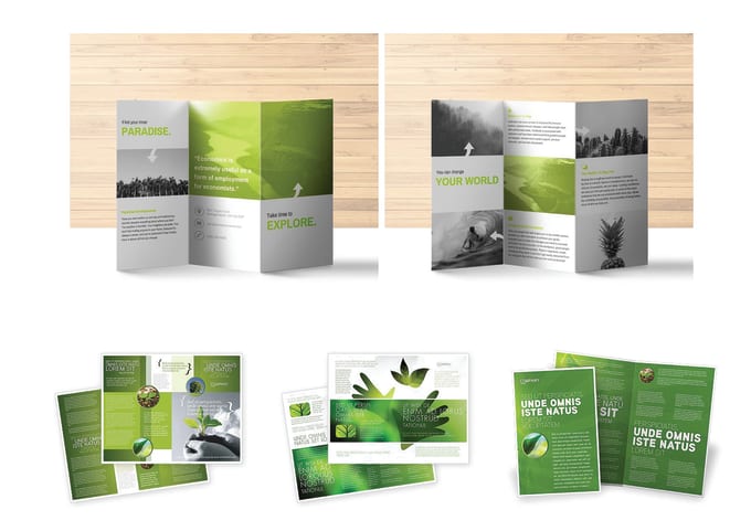 professional flyers brochures and sell sheets