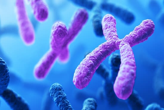 genetics and biology helper
